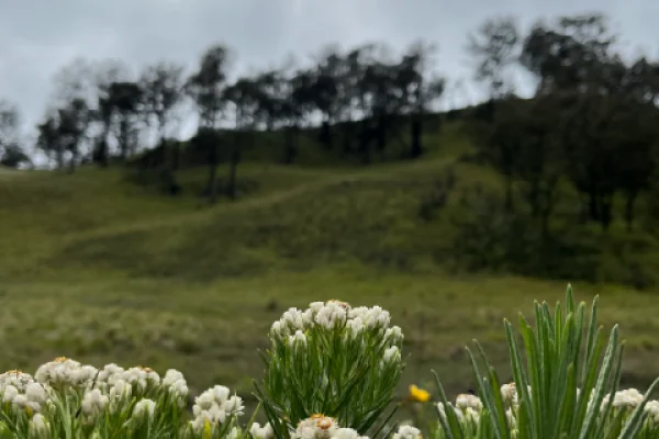 Private Trip-Gunung Lawu Via Candi Cetho