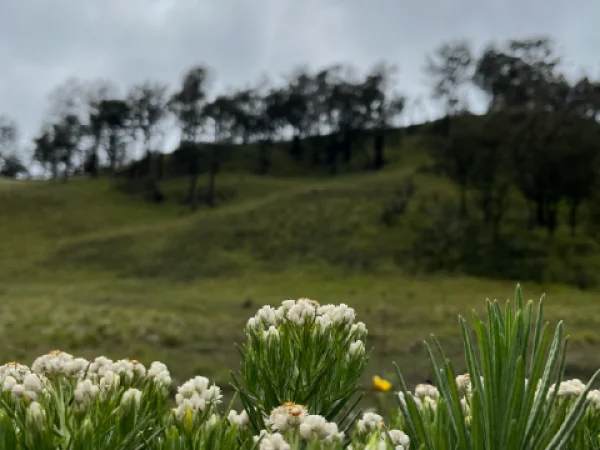 Private Trip-Gunung Lawu Via Candi Cetho