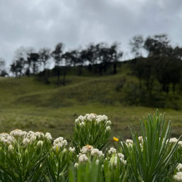 Private Trip-Gunung Lawu Via Candi Cetho